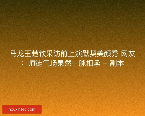 马龙王楚钦采访前上演默契美颜秀 网友：师徒气场果然一脉相承 - 副本