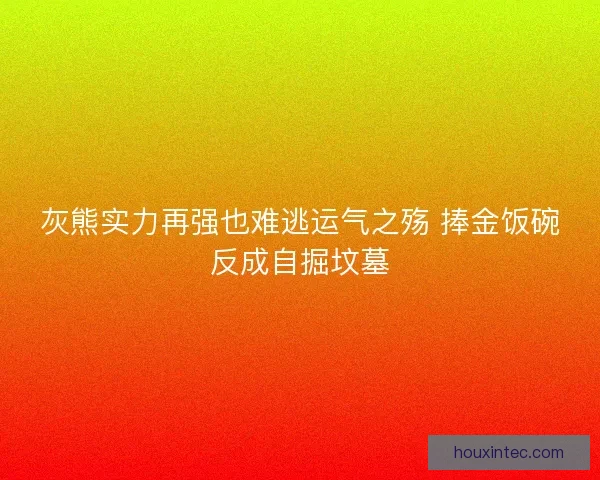 灰熊实力再强也难逃运气之殇 捧金饭碗反成自掘坟墓