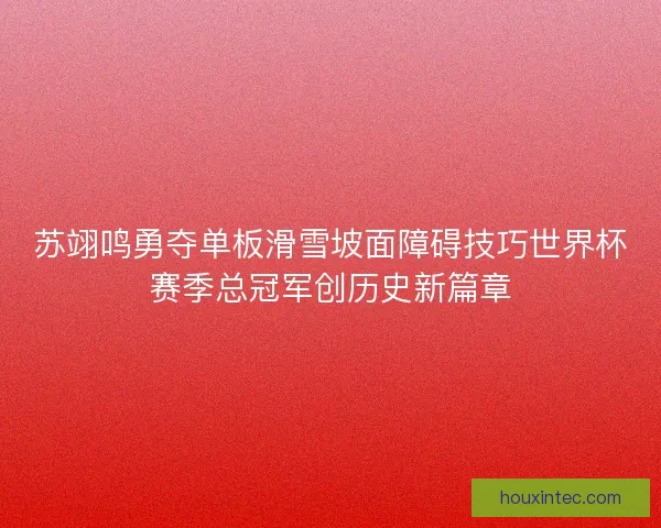 苏翊鸣勇夺单板滑雪坡面障碍技巧世界杯赛季总冠军创历史新篇章