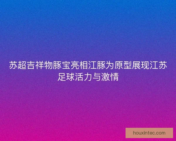 苏超吉祥物豚宝亮相江豚为原型展现江苏足球活力与激情